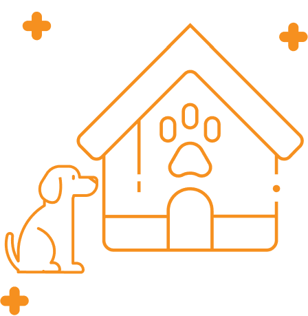 Dog Boarding